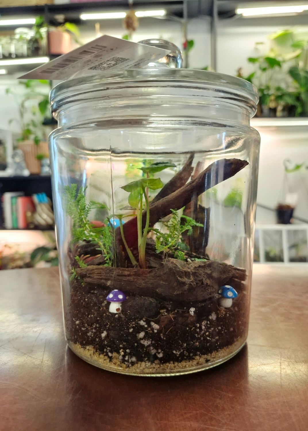 Large Botanical Bioactive Terrarium
