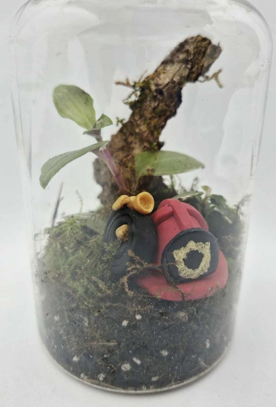 Pocket Tropical Terrarium