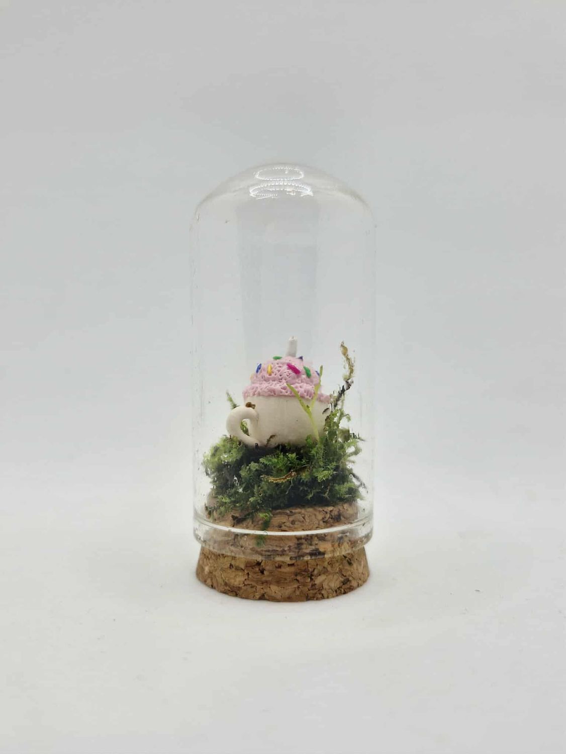 Pocket Lotus Terrarium