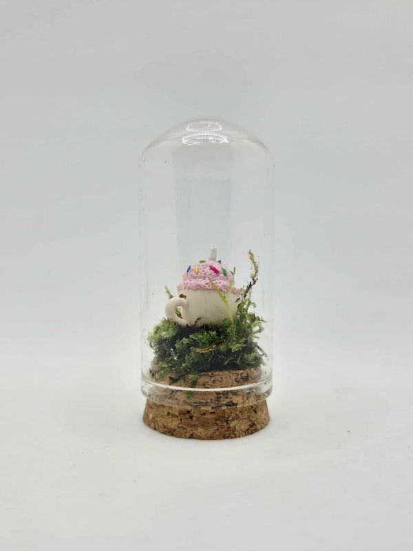 Pocket Lotus Terrarium
