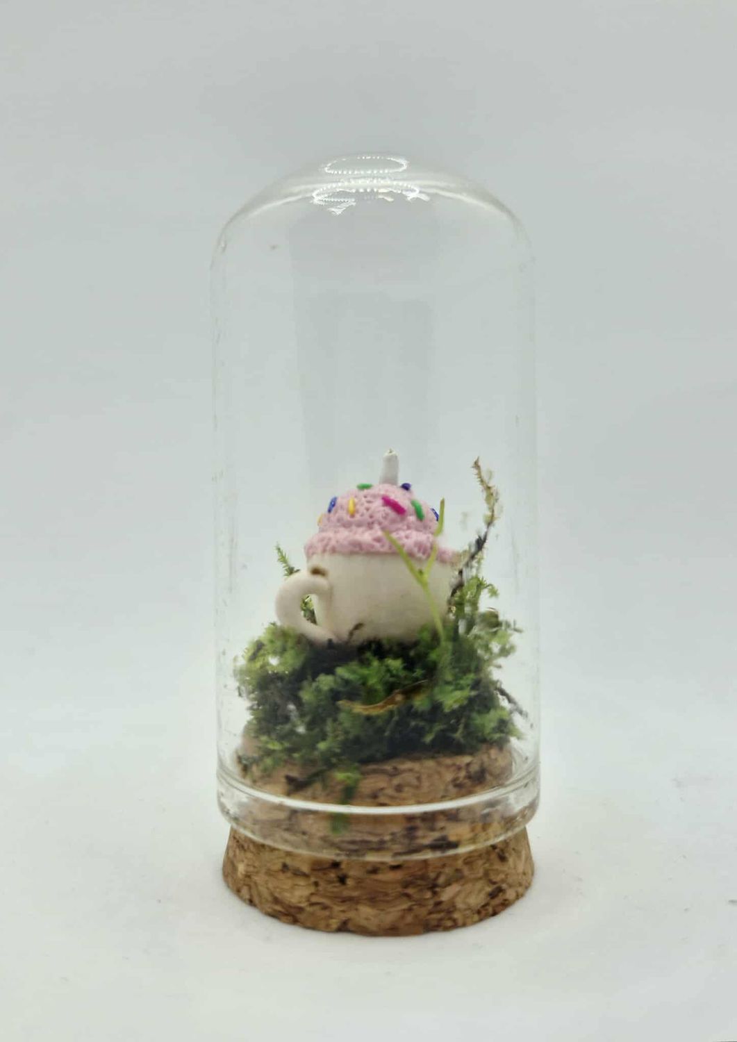 Pocket Lotus Terrarium