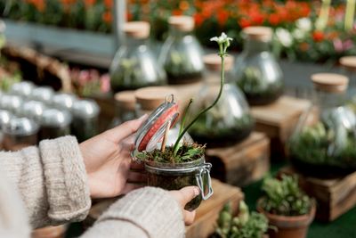 Curated Gardens