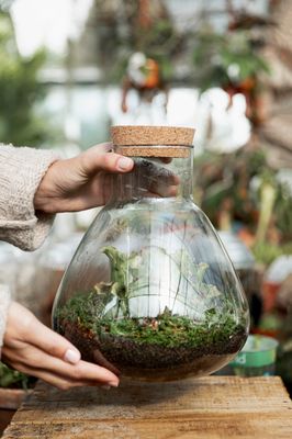 Terrarium Realms