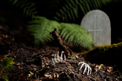 Dark Garden Terrariums
