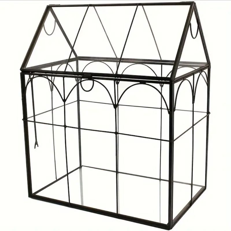 Medium Greenhouse Bioactive Terrarium