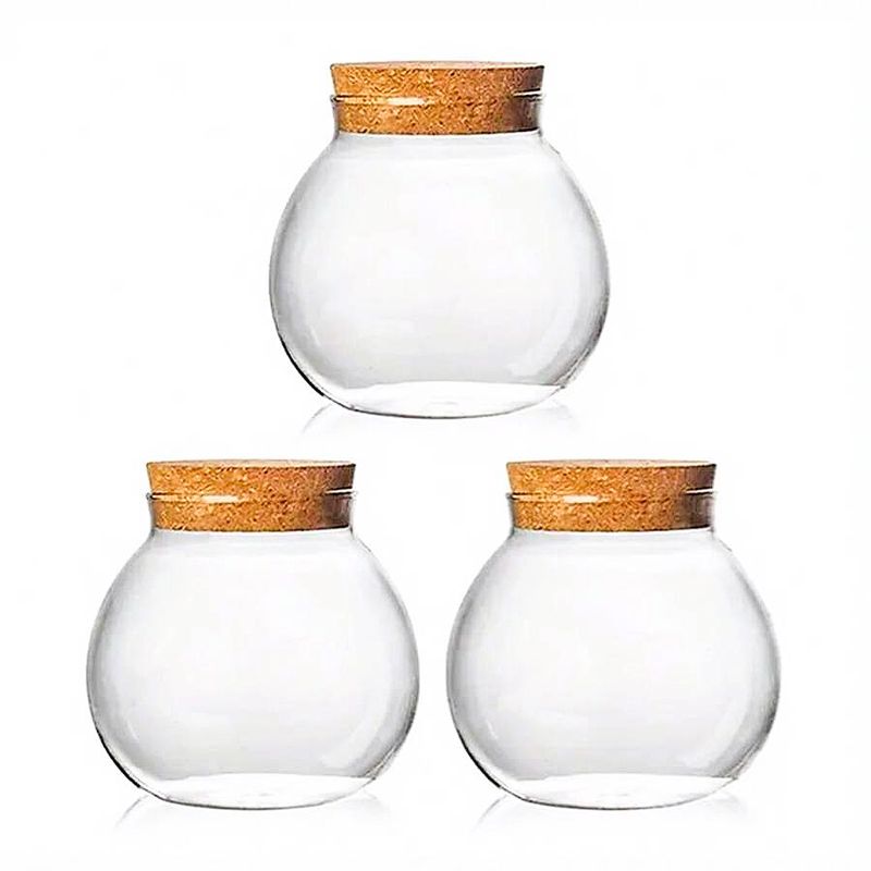 Petite Flora Terrarium