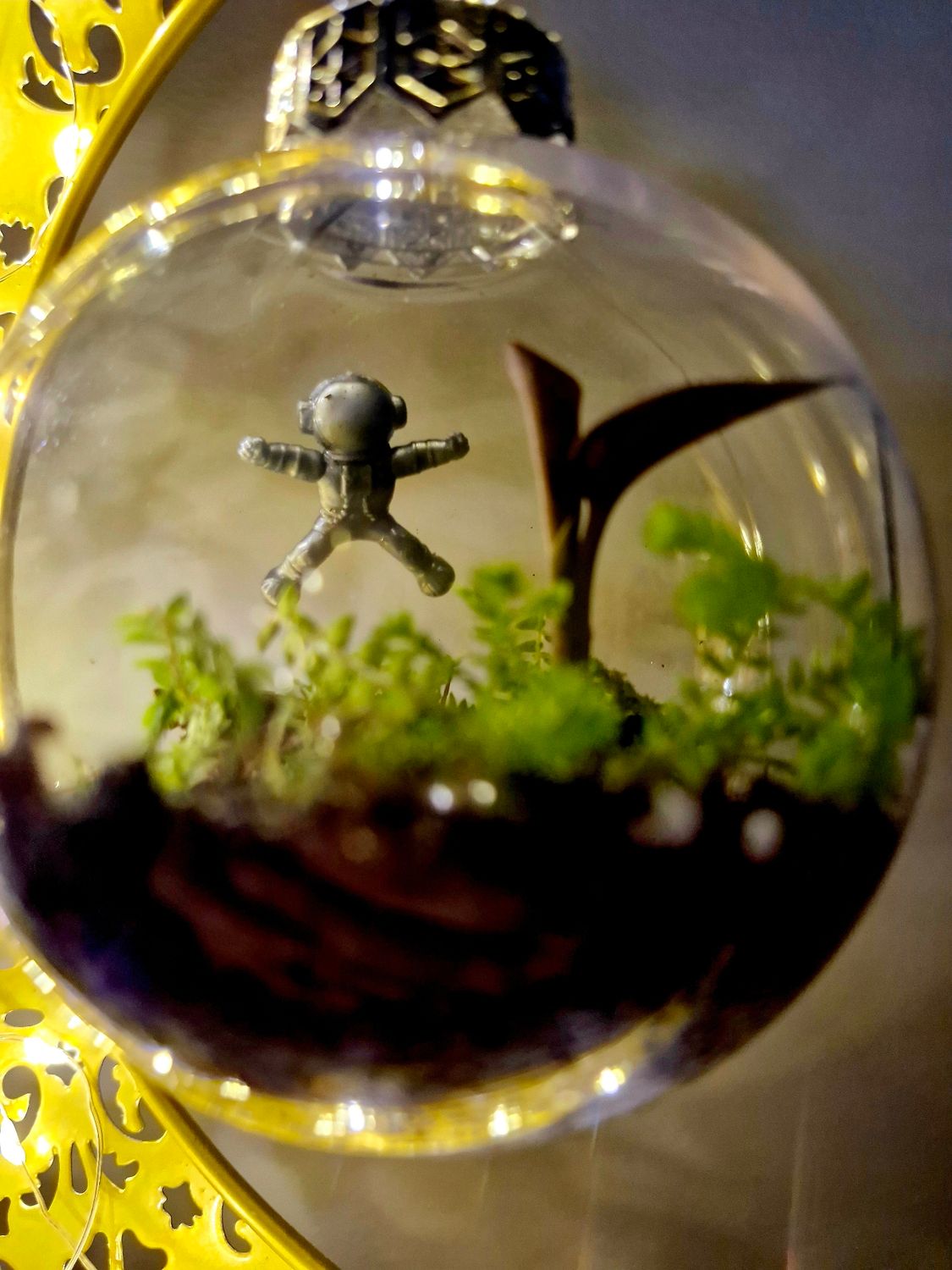 Night sky terrarium lamp