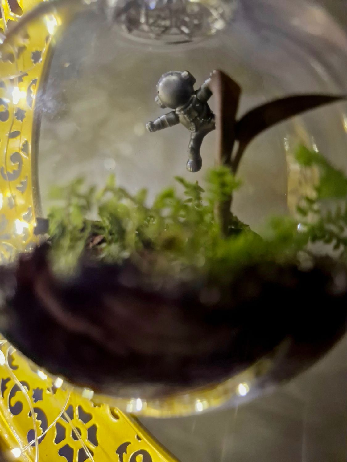 Night sky terrarium lamp