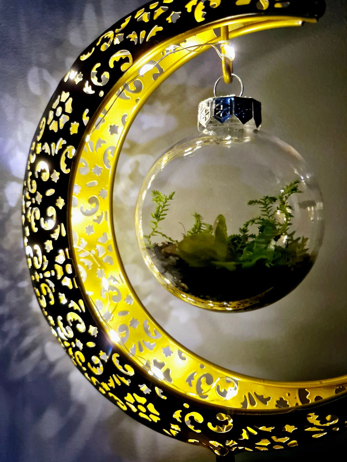 Night sky terrarium lamp