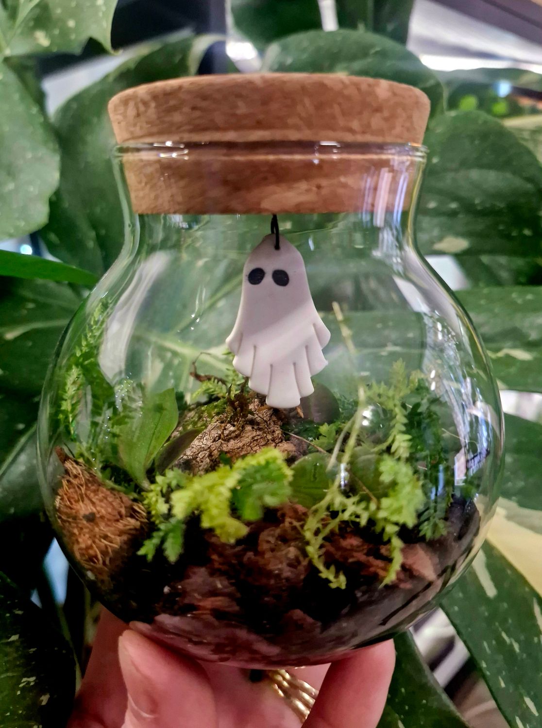 Mini Flora Bioactive Terrarium