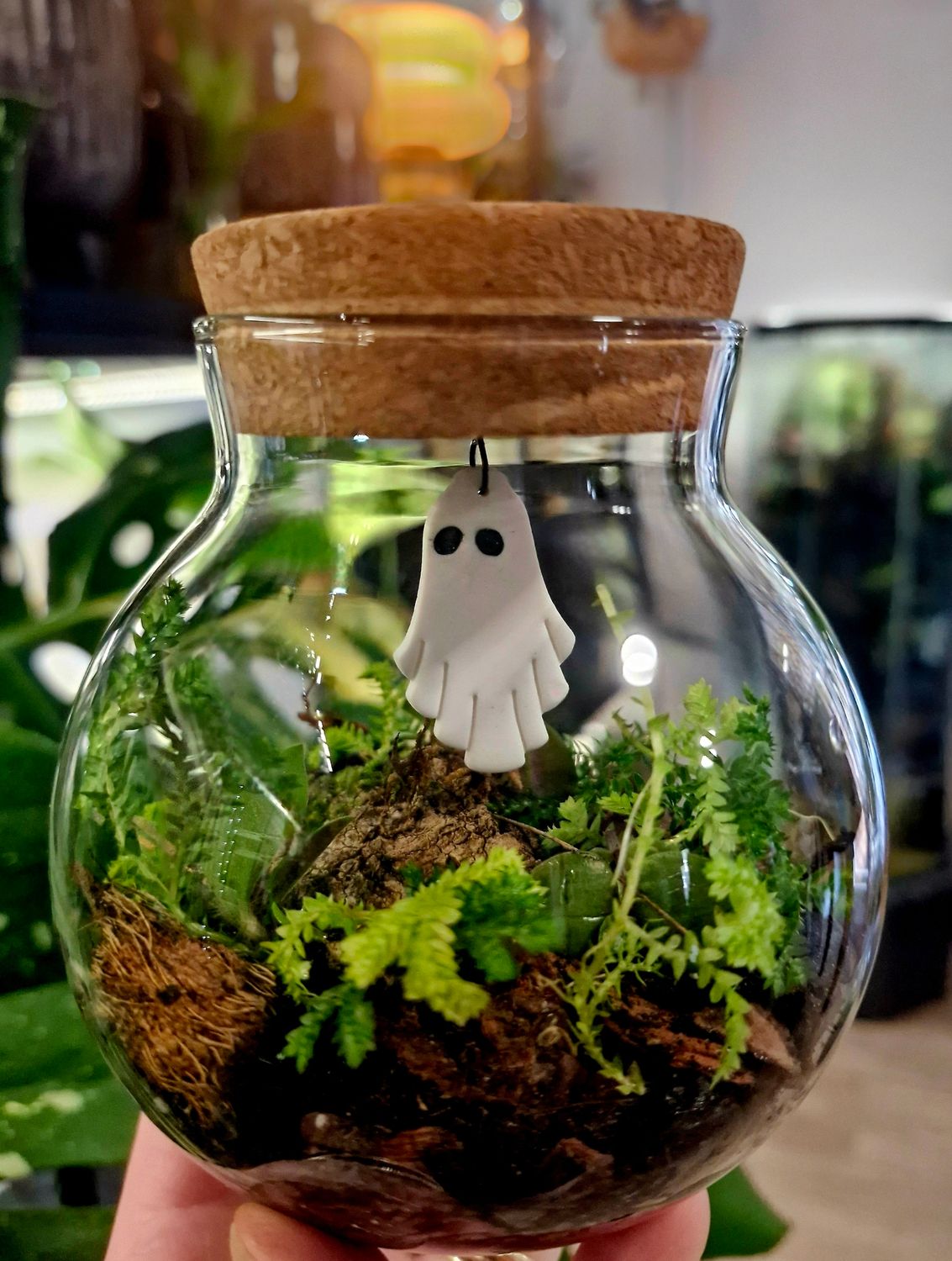 Mini Flora Bioactive Terrarium