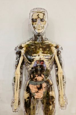 ​Ian Moss Terrarium Care Guide