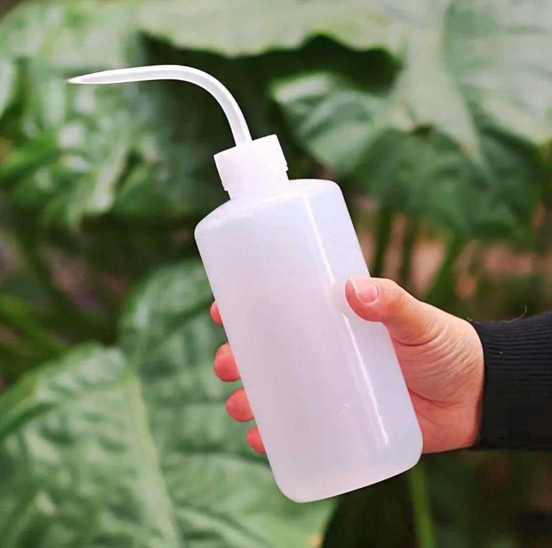 Bloom Bottle