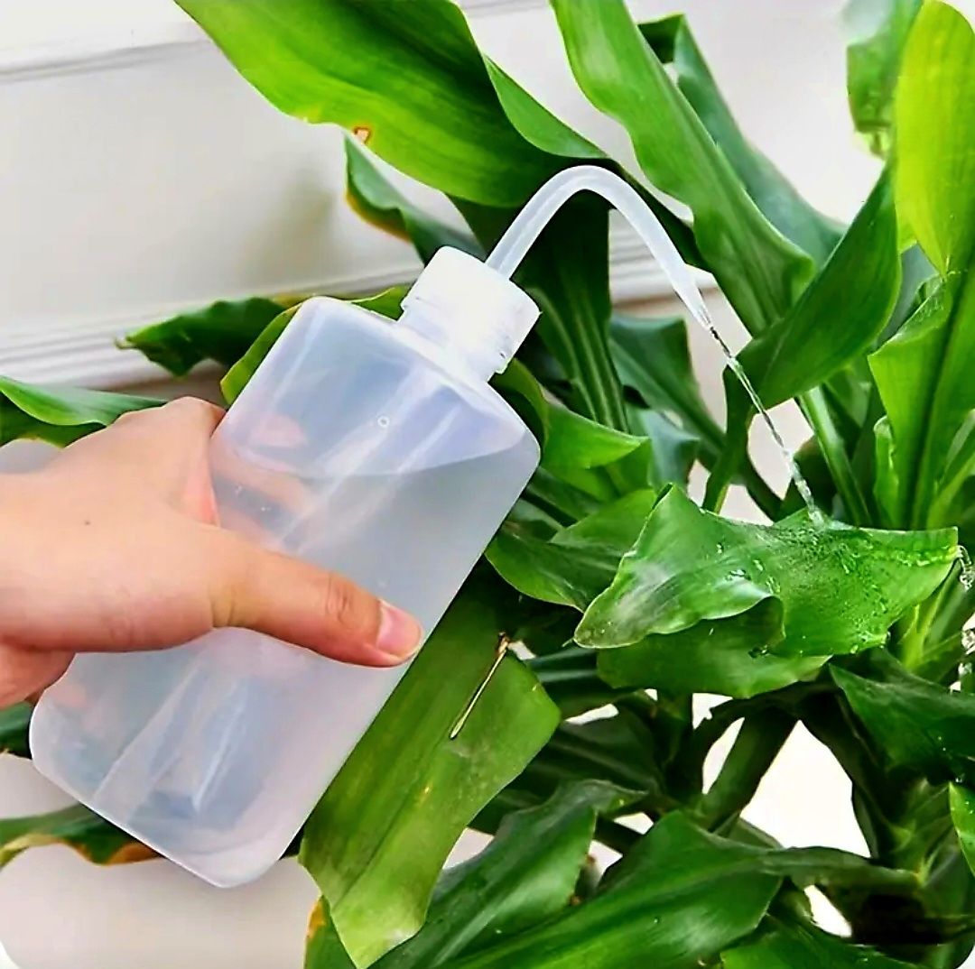 Bloom Bottle