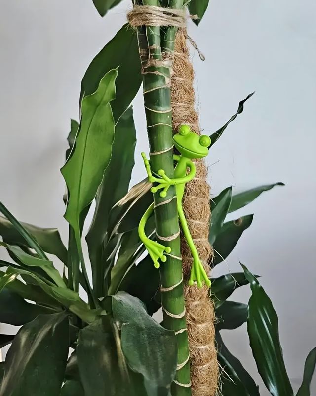 Clingy Creatures — Adjustable Plant Ties &amp; Décor