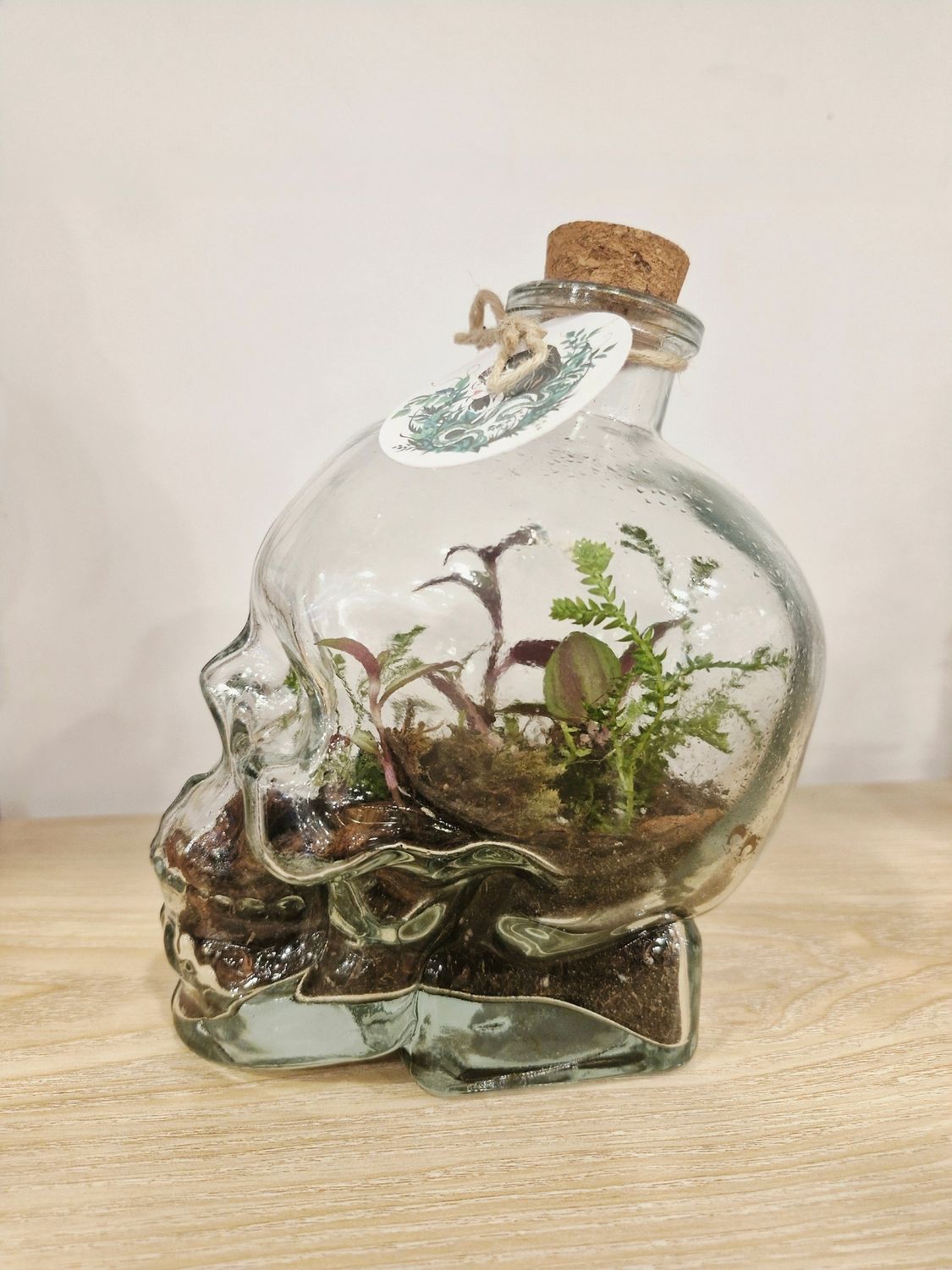 Petite Skull Terrarium