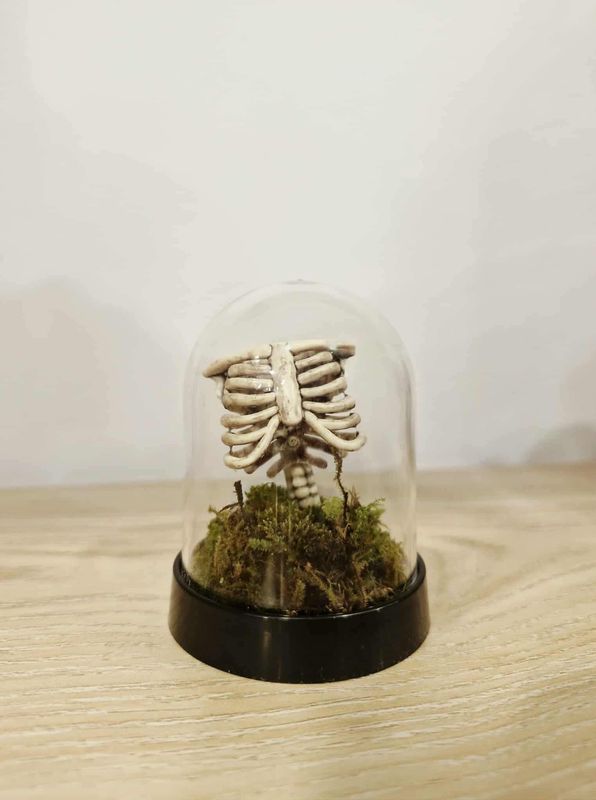 Sprout Dome Terrarium