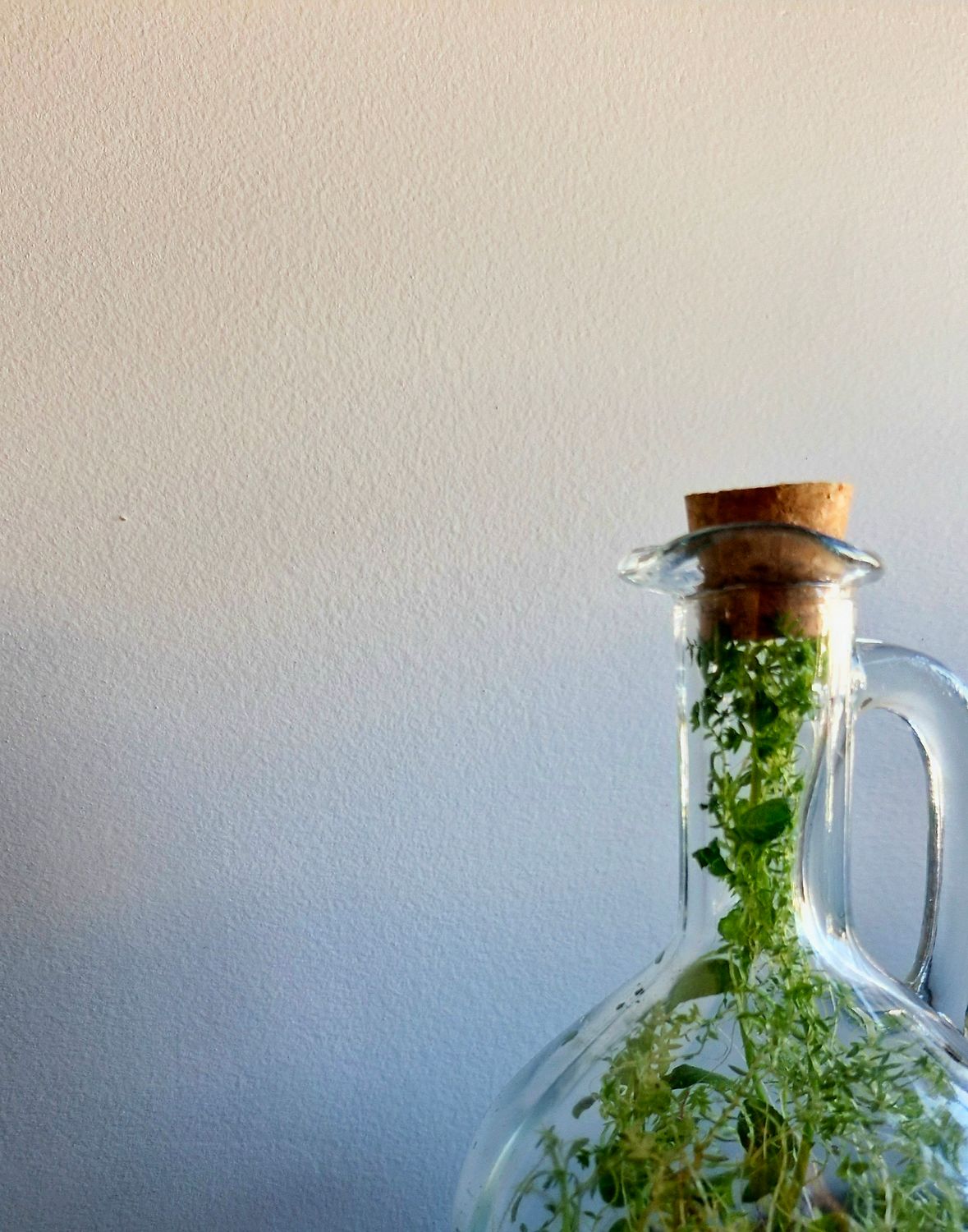 Spellbound Bioactive Terrarium