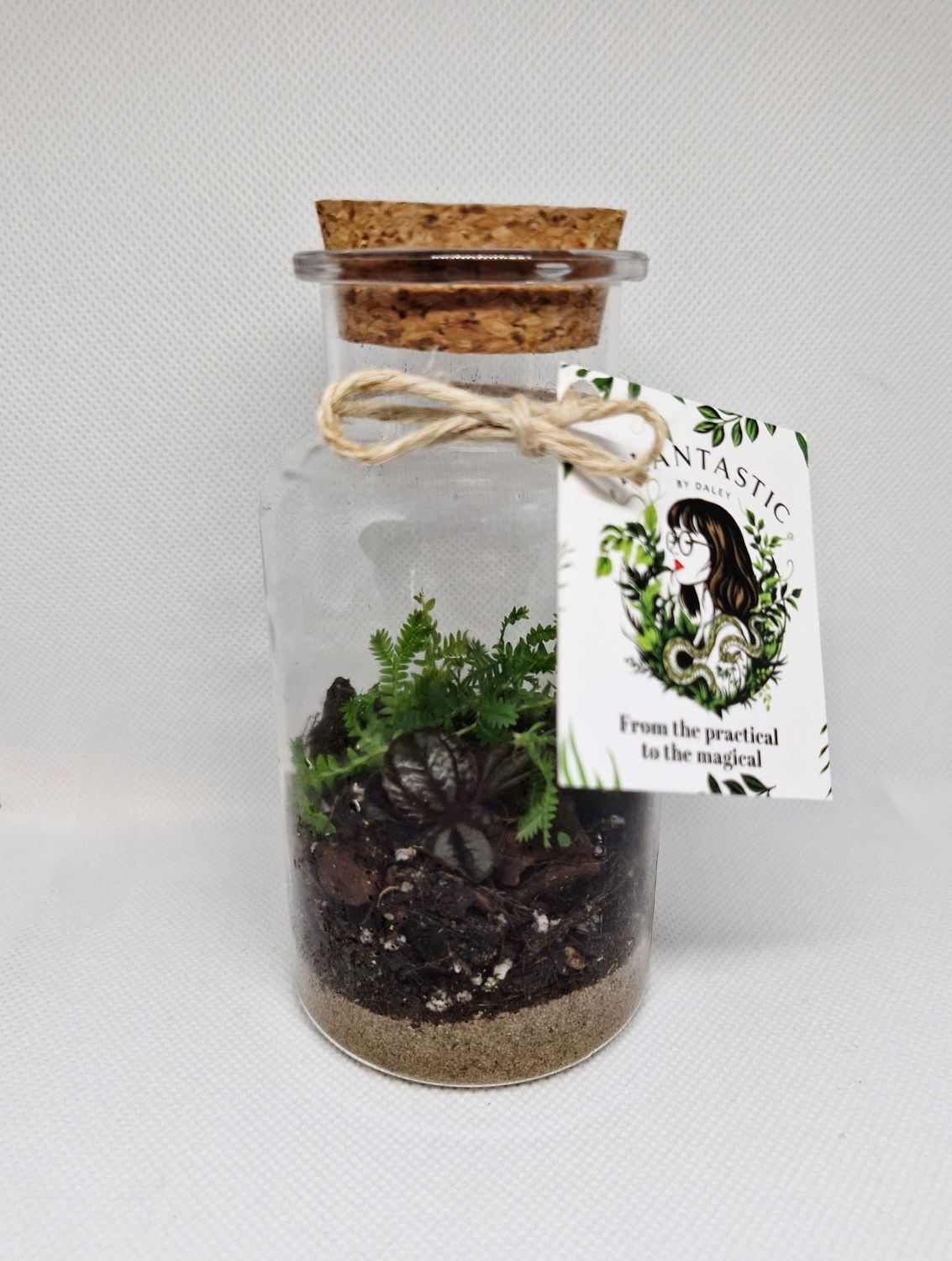Pocket Tropical Bioactive Terrarium