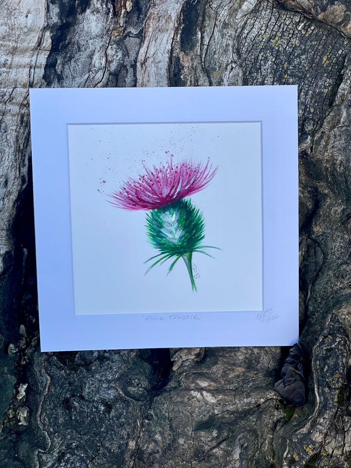 Thistle Cards and Ltd Prints