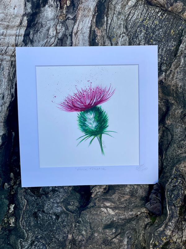 Thistle Cards and Ltd Prints
