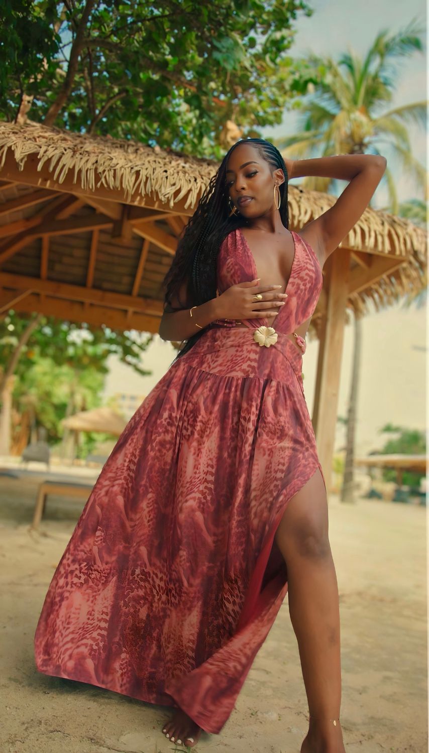 Wild Berry Sunset Dress