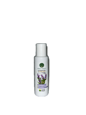Șampon cu Ulei de Eucalipt și Extract de Salvie, 100 ml (Stimulează Creșterea Părului)