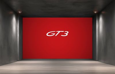 GT3 PORSCHE WALL SIGN