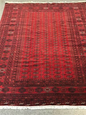 Very Fine Afghan Rug Half Price Sold.