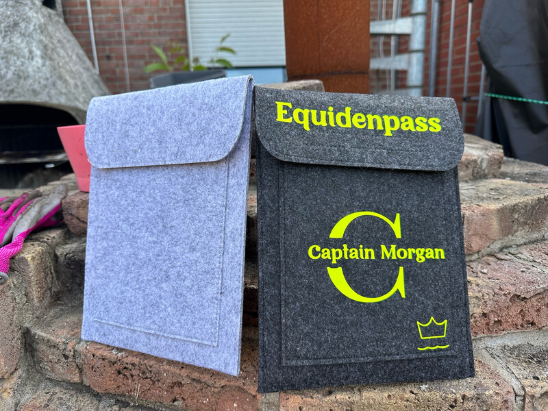 Hülle für Equidenpass