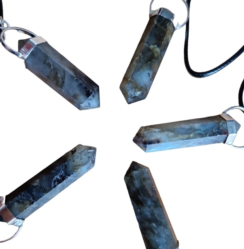 Hanger labradoriet dubbel einder zilverkleurig met ketting.