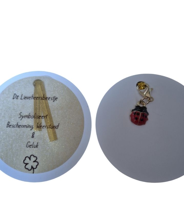 Lieveheersbeestje bedel cadeautje