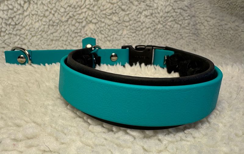 Biothane Limited Slip Prong Collar