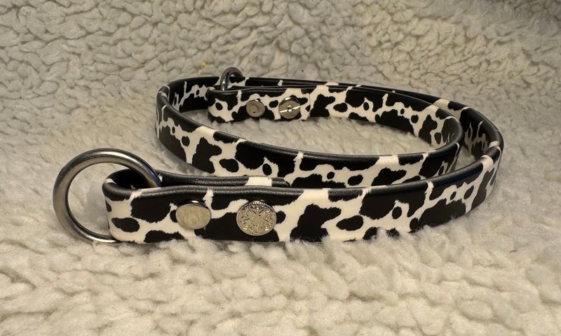 Printed Biothane Slip Collar