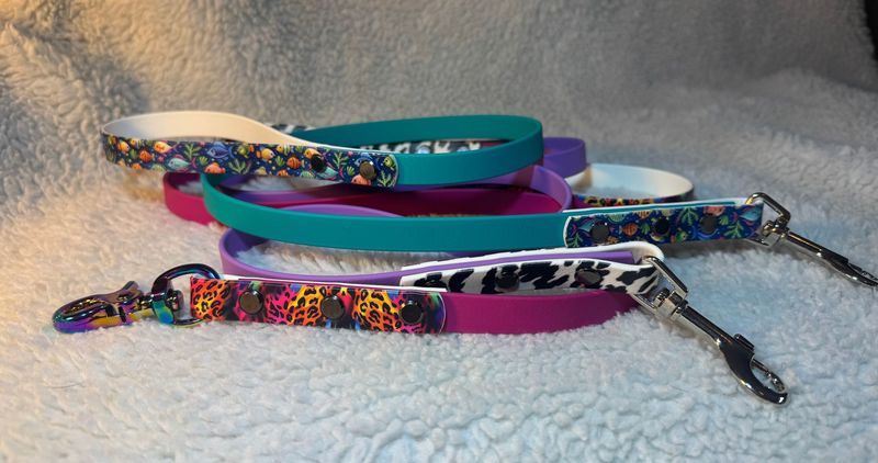 Accented Biothane Leashes