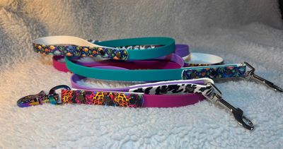 Accented Biothane Leashes