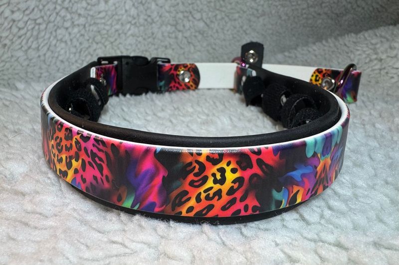 Wild Thing on Black 14-16"