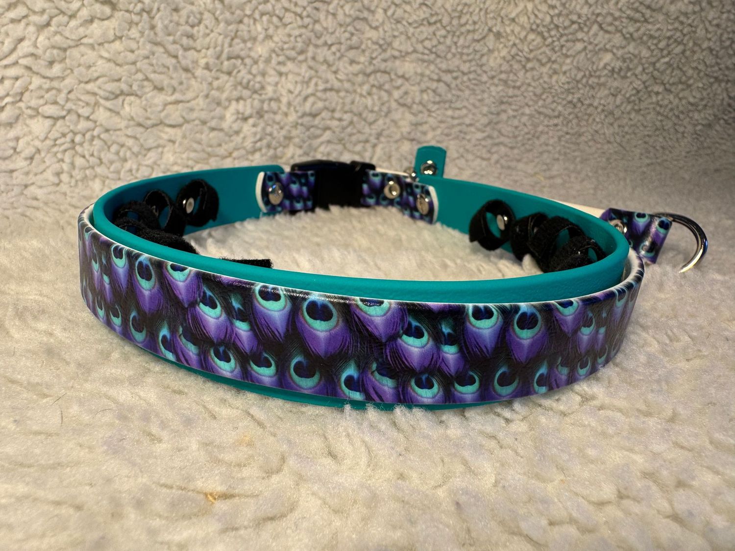 Peacock on Teal 20-22"