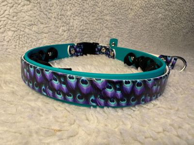 Peacock on Teal 20-22"