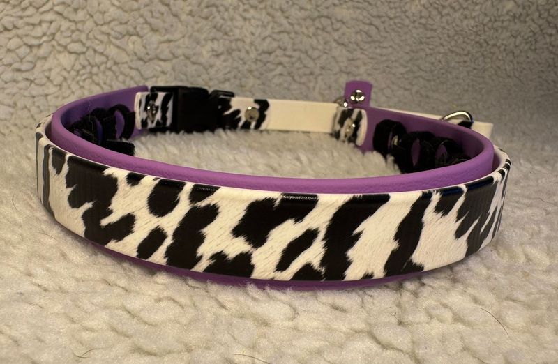 Holstein on Amethyst 20-22"