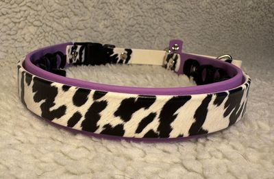 Holstein on Amethyst 20-22"