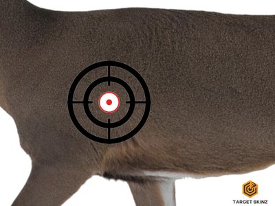 Deer &amp; Turkey Targets Skin