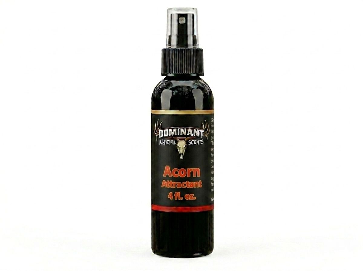 Acorn Attractant