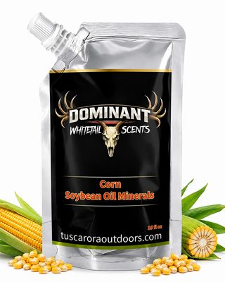 Soybean Oil Minerals