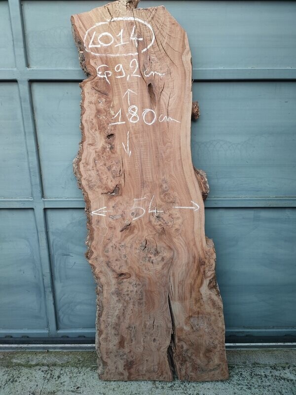 Plateau planche bois brut loupe d'orme