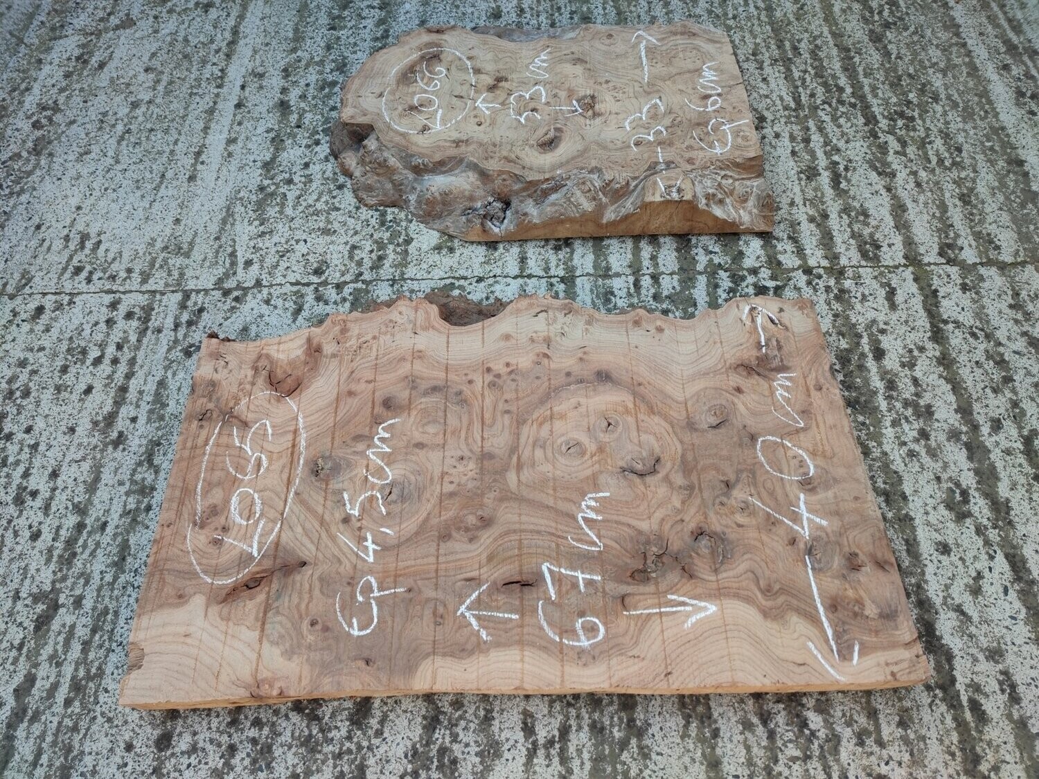 Plateau Ovale Présentation en Bois 50,8x20,3cm (6 Utés