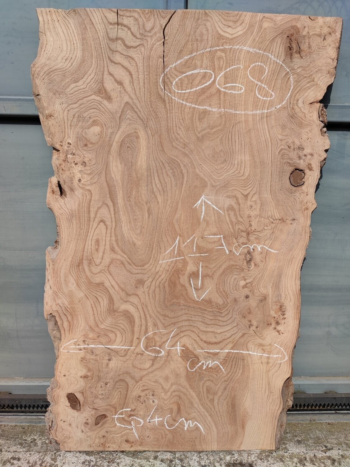 Plateau d'orme français. Largeur XXL. Bois brut live edge