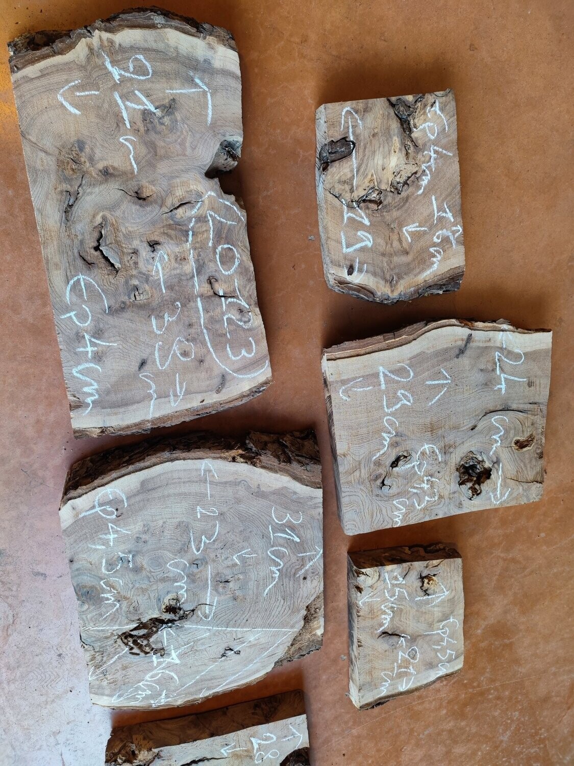 Lot de 6 morceaux de loupe d'orme