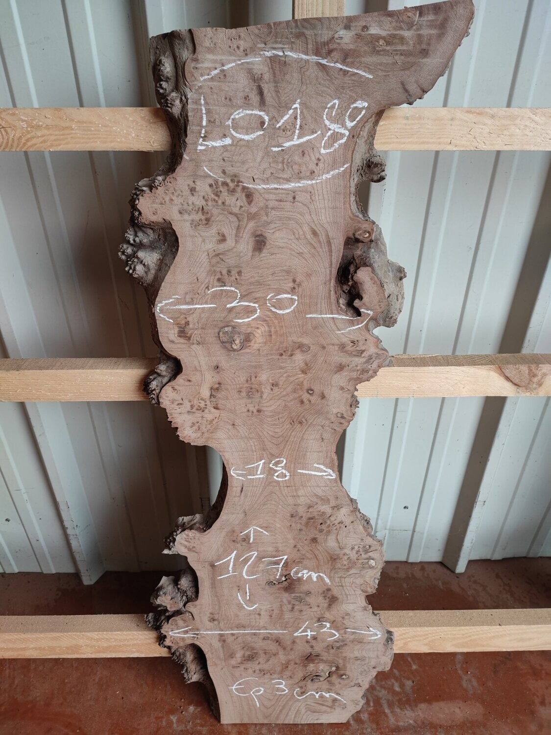 Loupe d'orme bords naturels