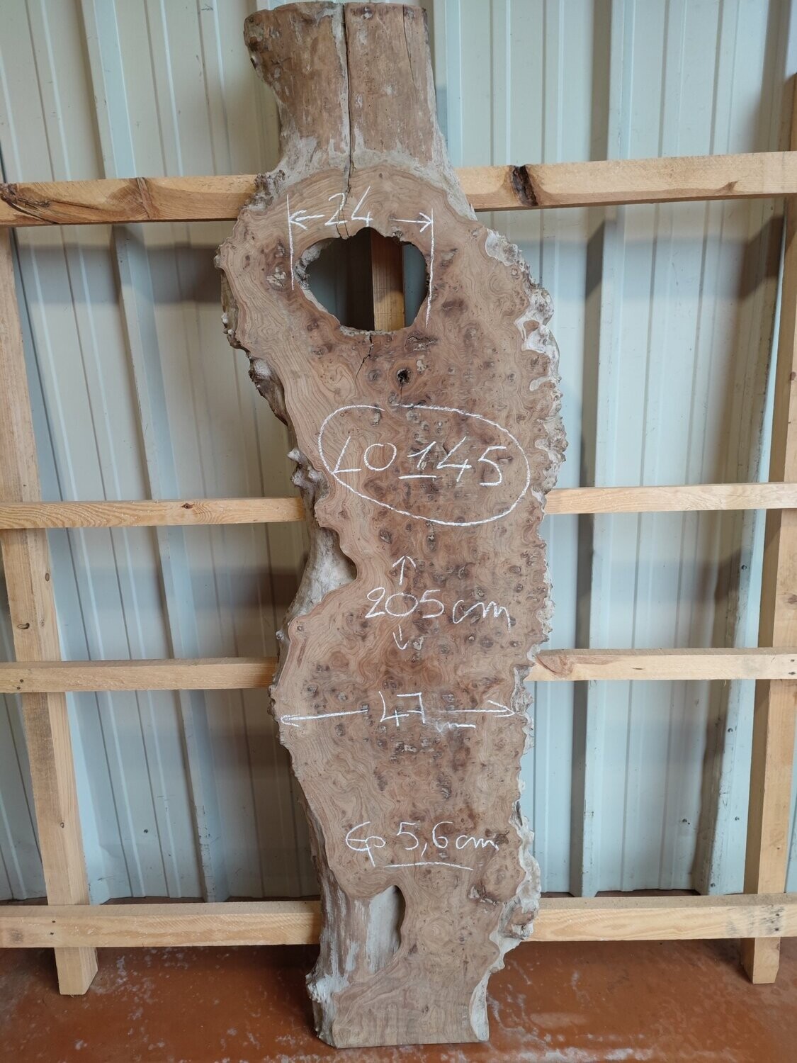 Plateau de loupe d'orme live edge - LO145